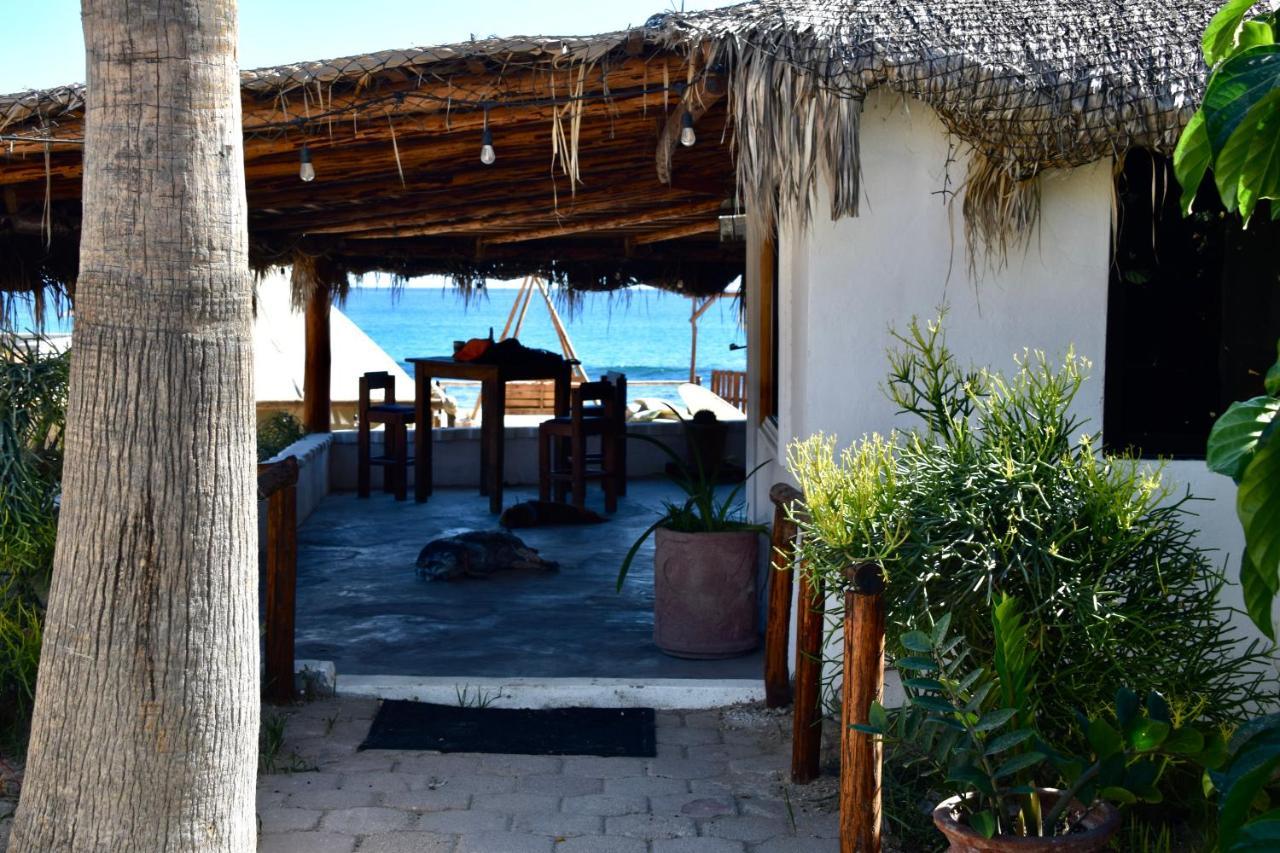 Rustico Lounge - Property In Front Of The Beach San Jose del Cabo Bagian luar foto